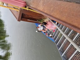 Mainschwimmen Juni 2026